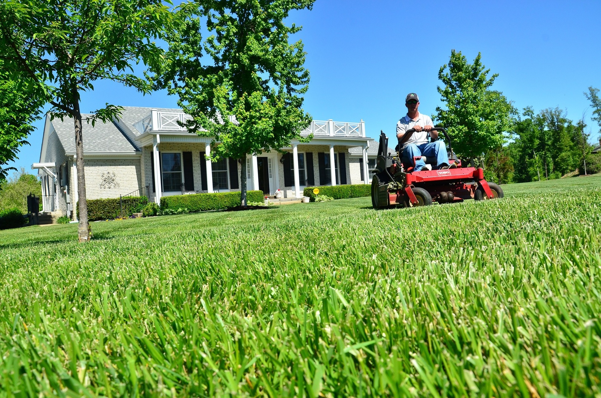Freshly mown residential lawn